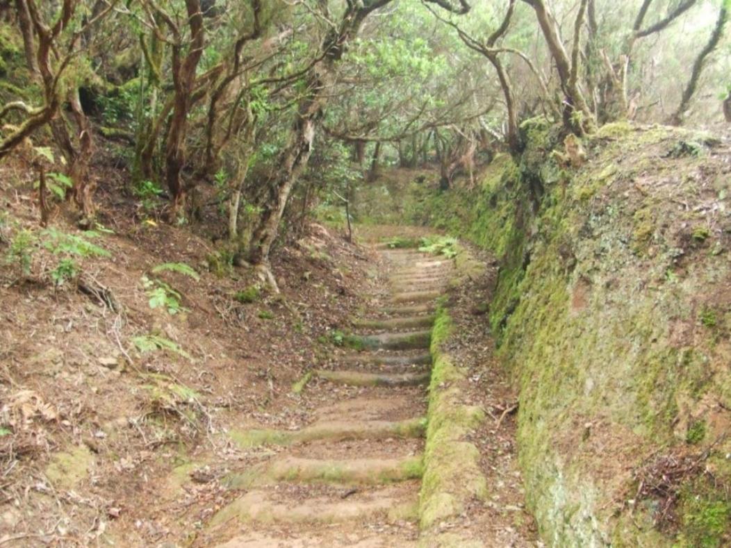 Casa Del Cu Bano A- Biosphere Reserve Taganana Εξωτερικό φωτογραφία